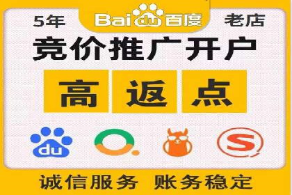 百度竞价策略解析：案例分析及优化建议